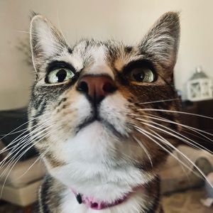 Meet your Posher, Maija